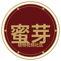 蜜芽